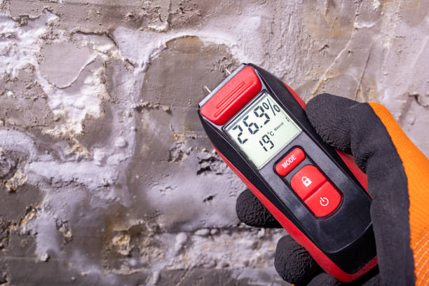 Best Mold Cleaning Services  in Cross Mountain, TX