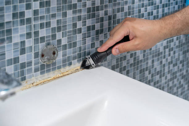 Cross Mountain, TX Mold Removal Company